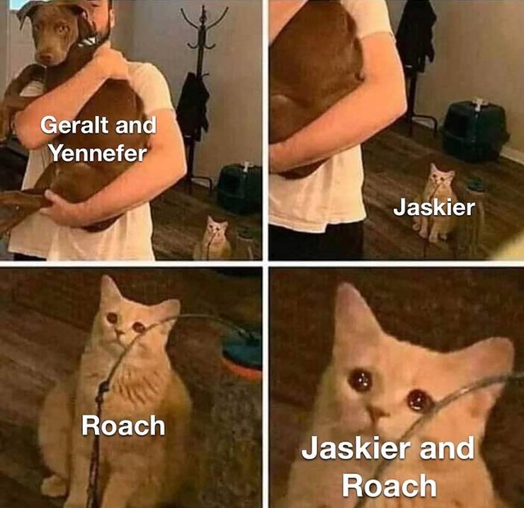 54 Incredible Memes Made Just For You Funny Gallery