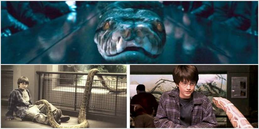 5 Reasons Harry Potter Should Have Been In Slytherin (And 5 That Say ...