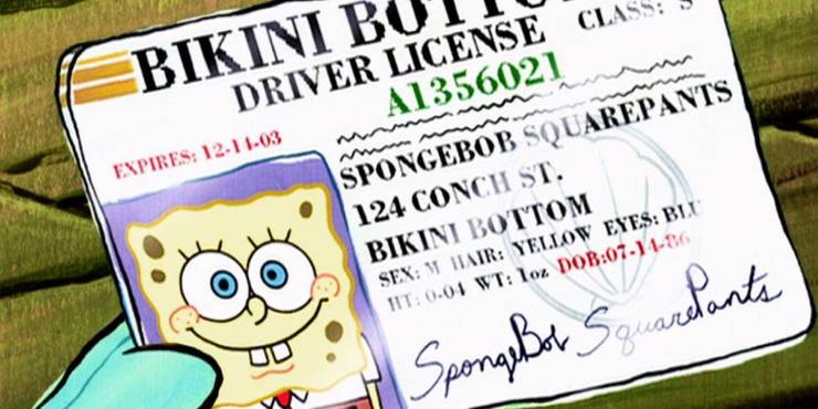How Old Is Spongebob Squarepants His Real Age Explained