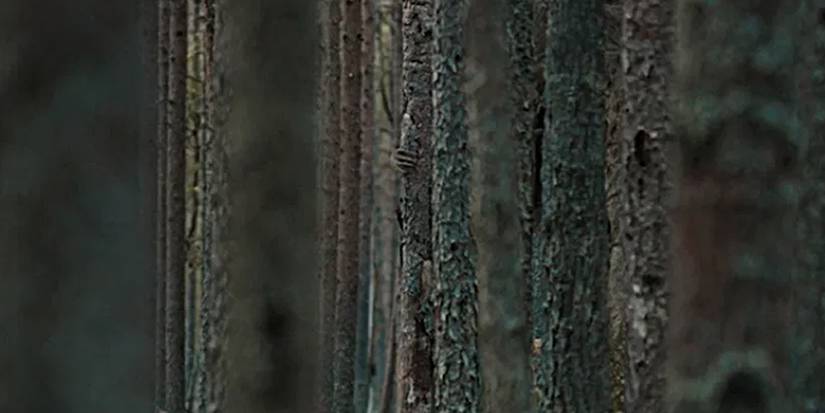 The Ritual: 10 Hidden Details You Missed In The Film