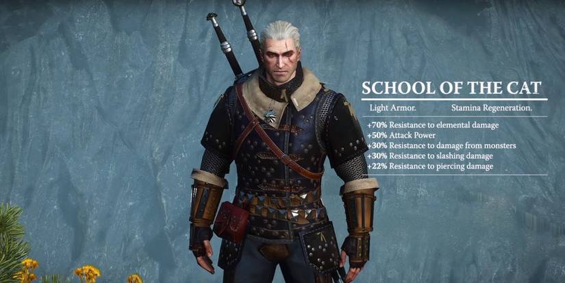 The Witcher 3 Cat Gear