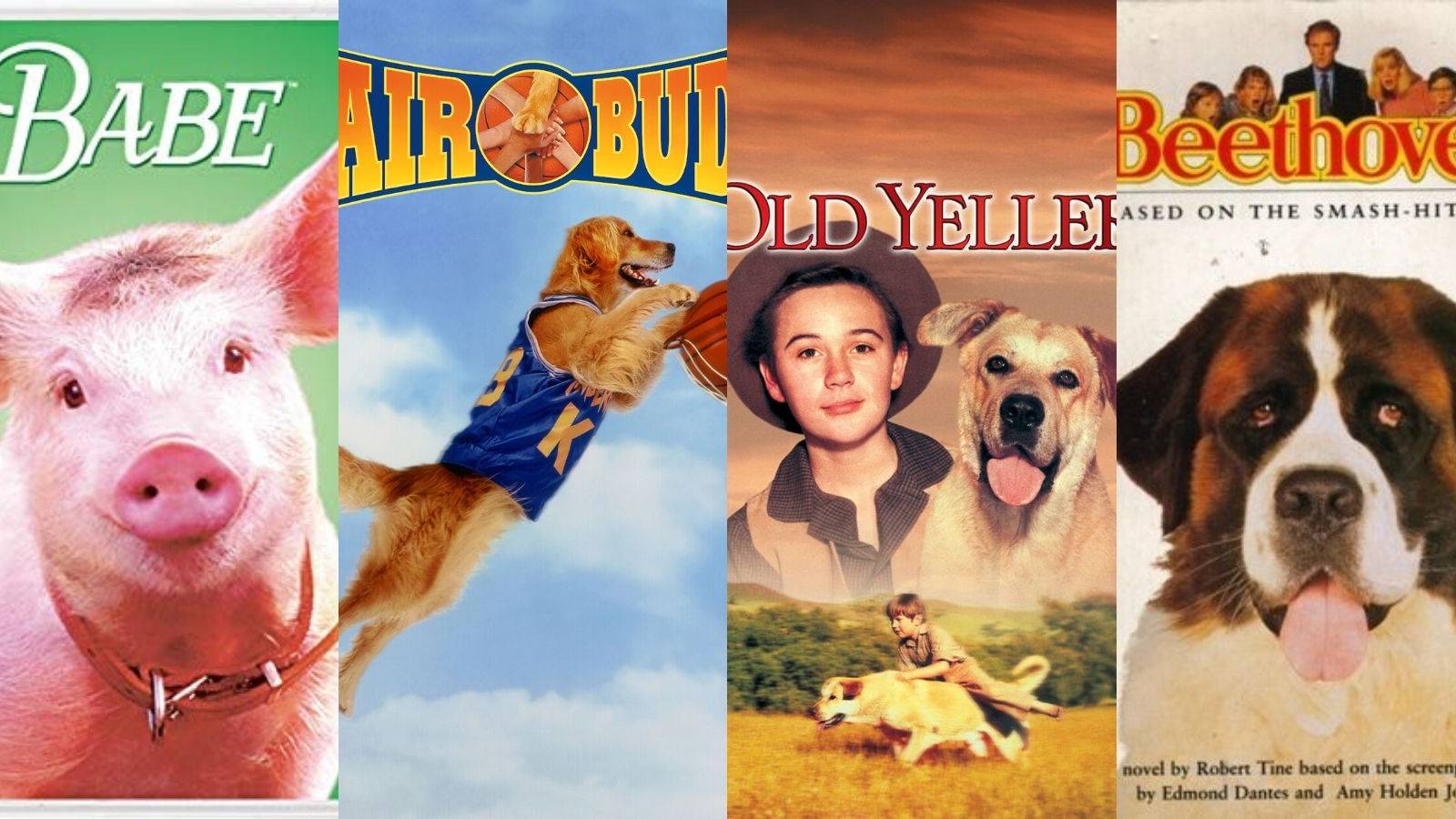 10 Best Movies with an Animal Protagonist