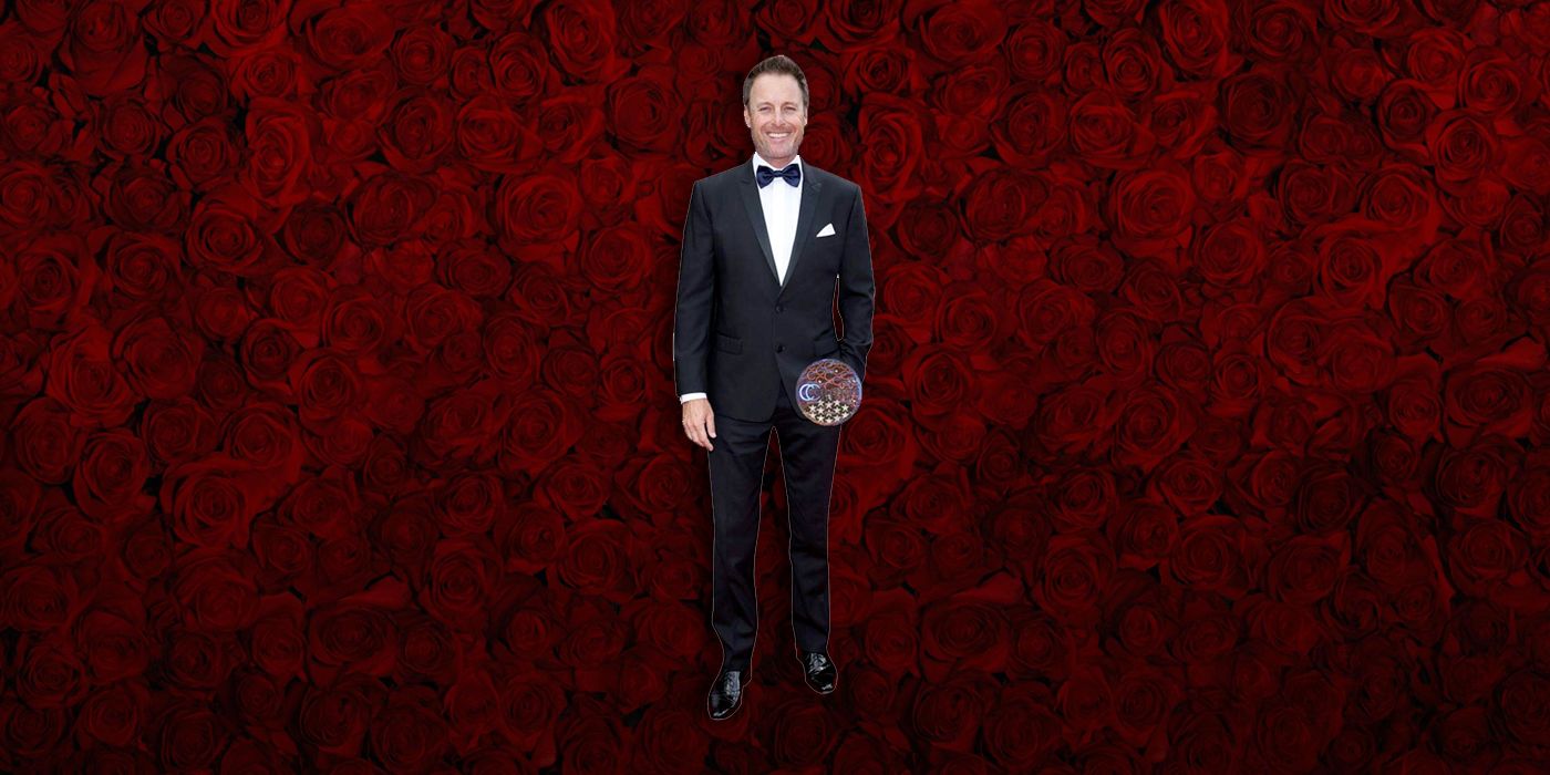 chris-cutout-bachelor