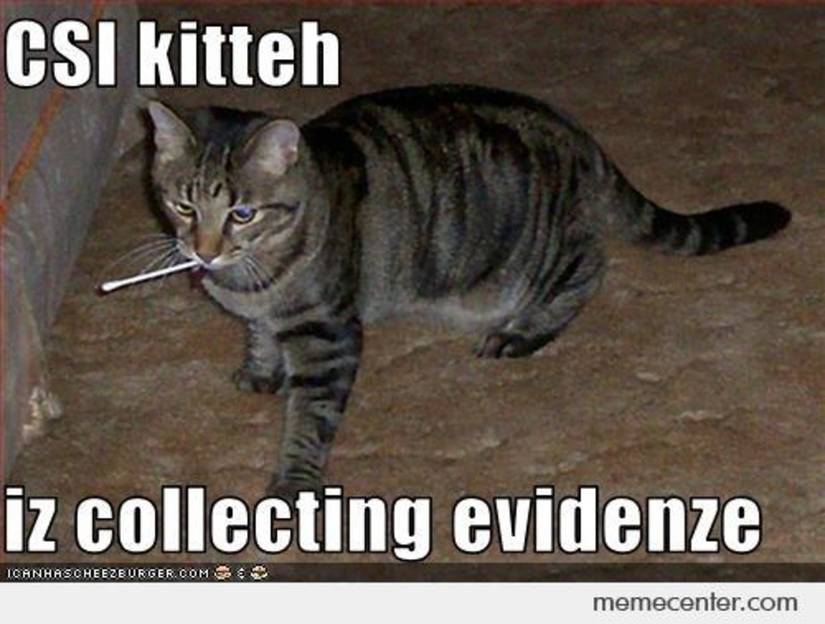 Csi Coding Meme Csi Unicode Memes