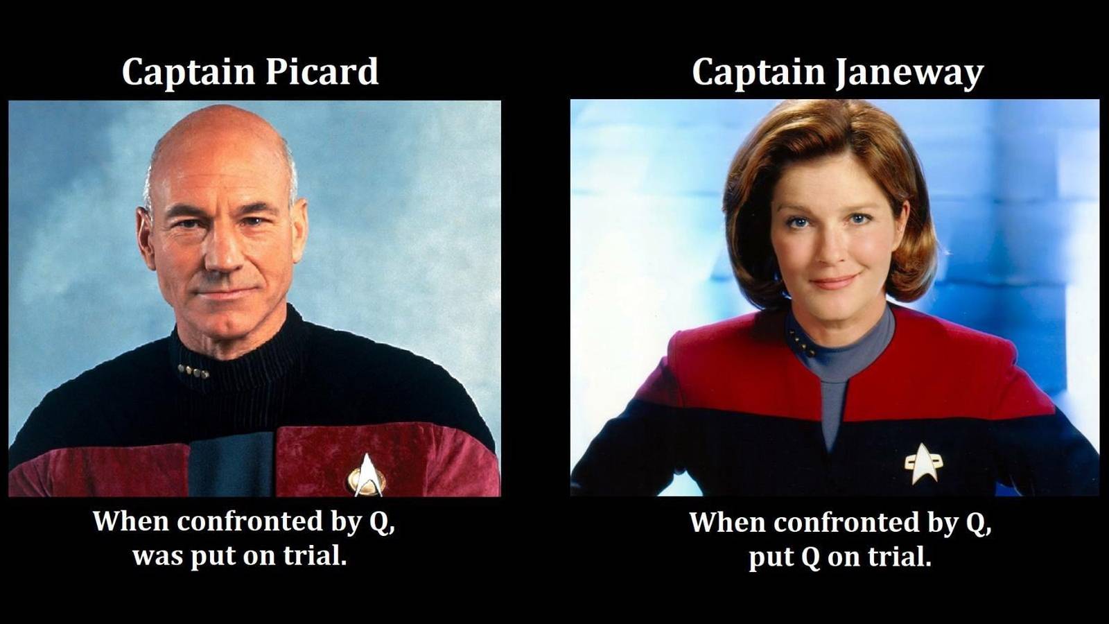 Citigroup Donates $50,000 to Support Chimps Abandoned by New York Blood  Center - Their Turn, image size:1600x900