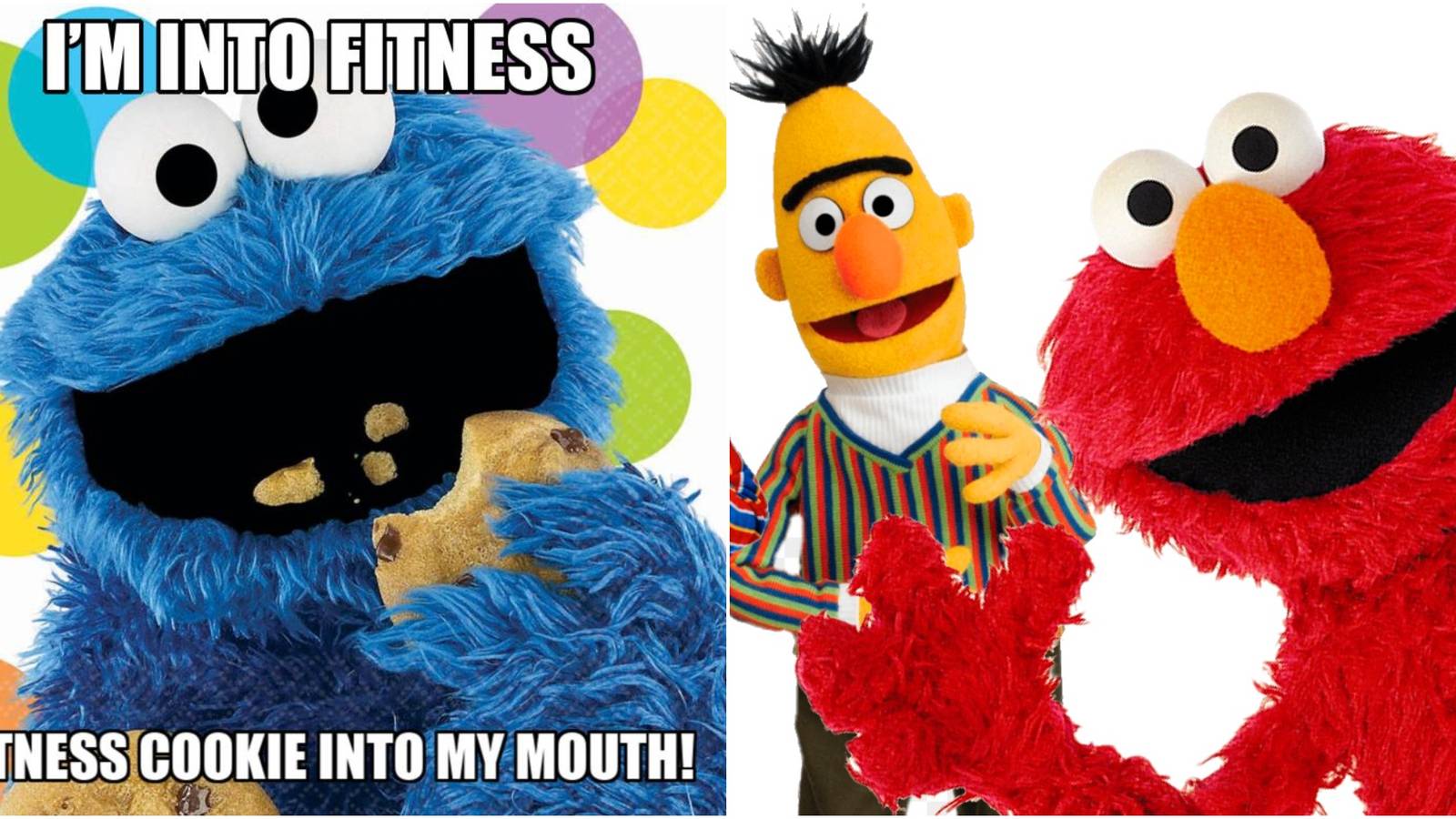 10 Adorable, Hilarious Sesame Street Memes That Take Us Back To Our  Childhoods, image size:1600x900