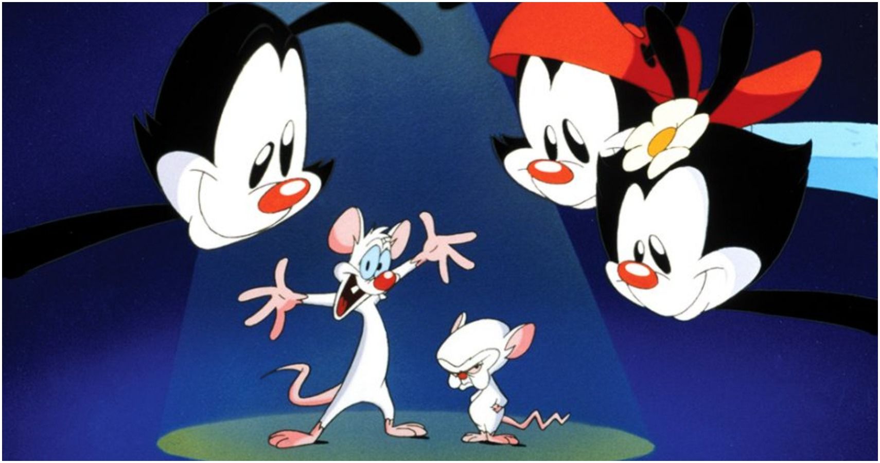 10 Best Animaniacs Characters Ranked