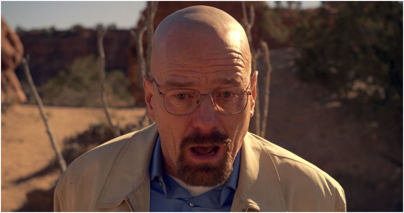 Breaking Bad: 10 Ways Walter White Changes From Season 1 To