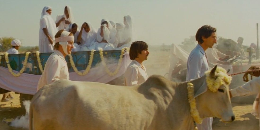 Darjeeling Limited's' style infusion