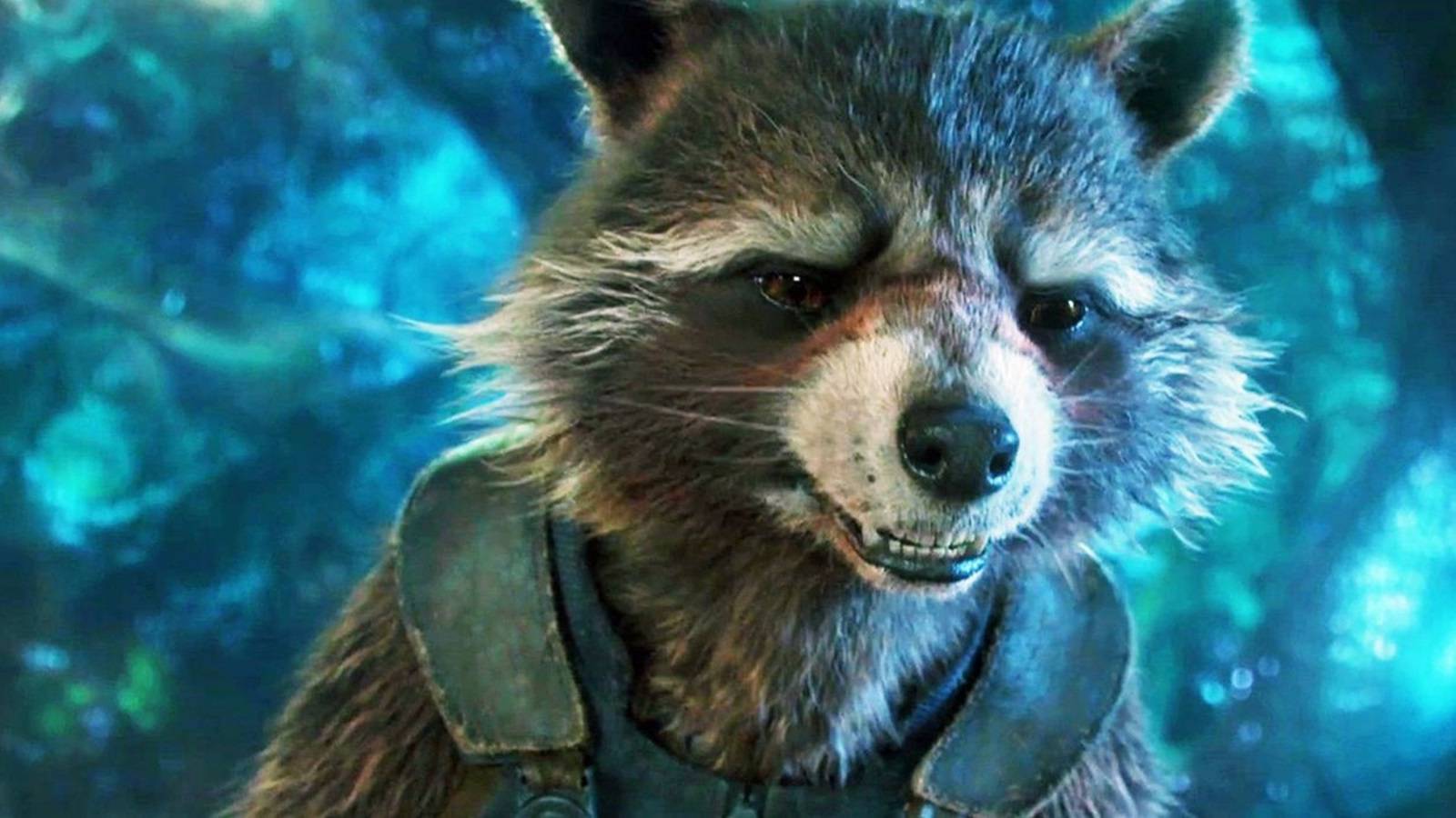 Rocket's 5 Funniest (& 5 Most Heartbreaking) Quotes In The MCU