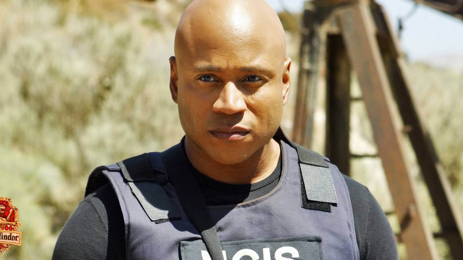 CBS Boss Explains Why NCIS: New York Is Happening But Not Tony & Ziva ...