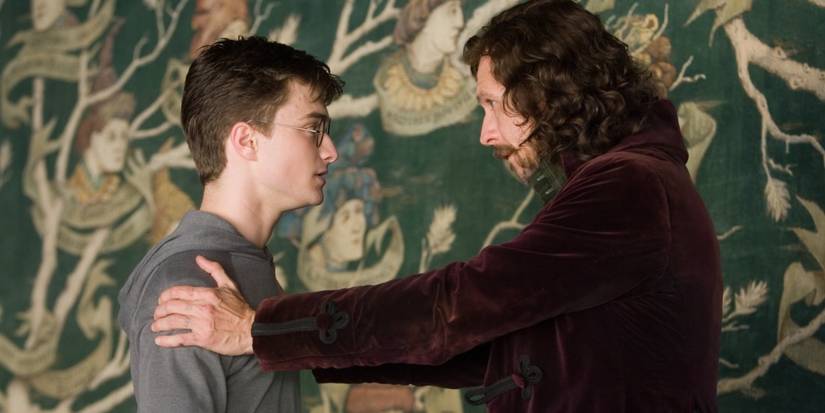 Sirius Black (Gary Oldman) comforts Harry (Daniel Radcliffe) in front of the Black family tree in Harry Potter and the Order of the Phoenix