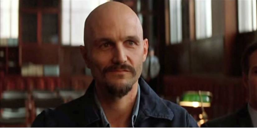 Batman Begins: All 5 Villains In Nolan's Movie