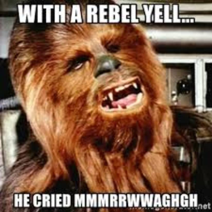 Star Wars 10 Chewbacca Memes That Are Just Too Funny star-wars-10-chewbacca-memes-that-are-just-too-funny