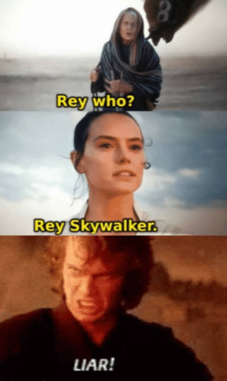 Un Rey Meme Rey Fan Memes Star Wars Memes Rey | TikTok