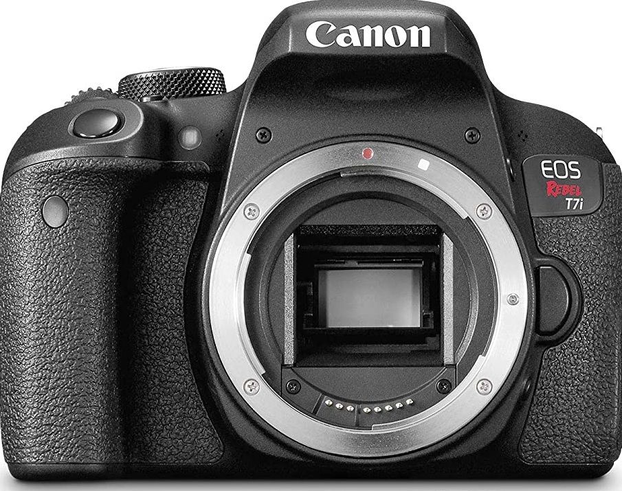 Best Canon Cameras (Updated 2020)