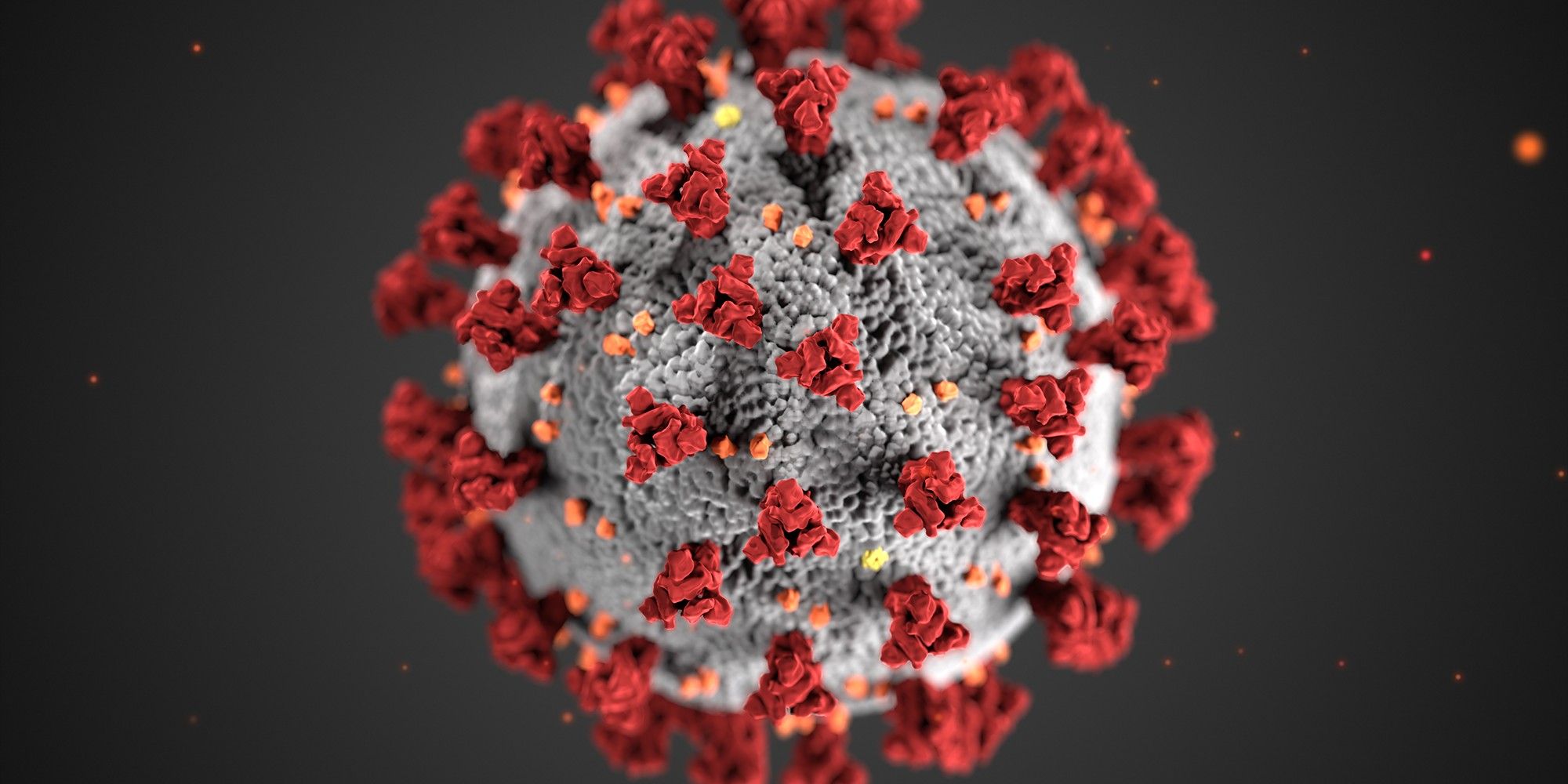How Big Data Can Be Used To Slow Coronavirus Outbreak