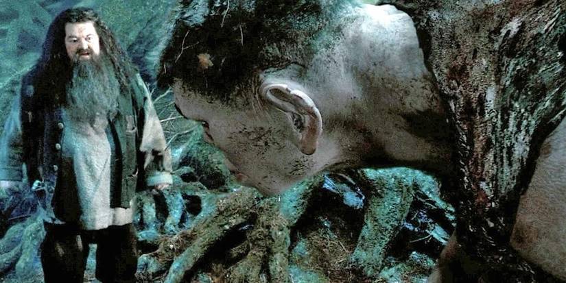 Harry Potter: 10 Hagrid's Hut Moments The Movies Missed Out On