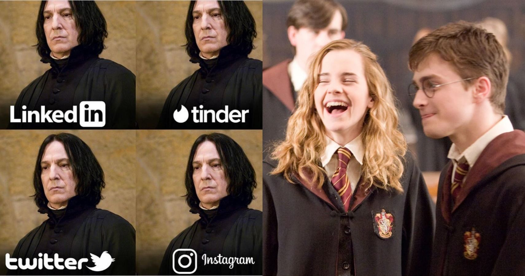 Harry Potter 10 Memes That Prove Snape Was A Comedic Genius