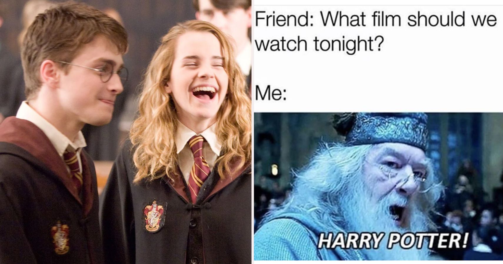 Harry Potter 10 Memes That Will Make Devoted Fans Nostalgic