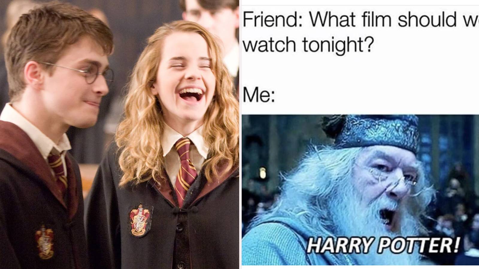 Harry Potter: 10 Memes That Will Make Devoted Fans Nostalgic