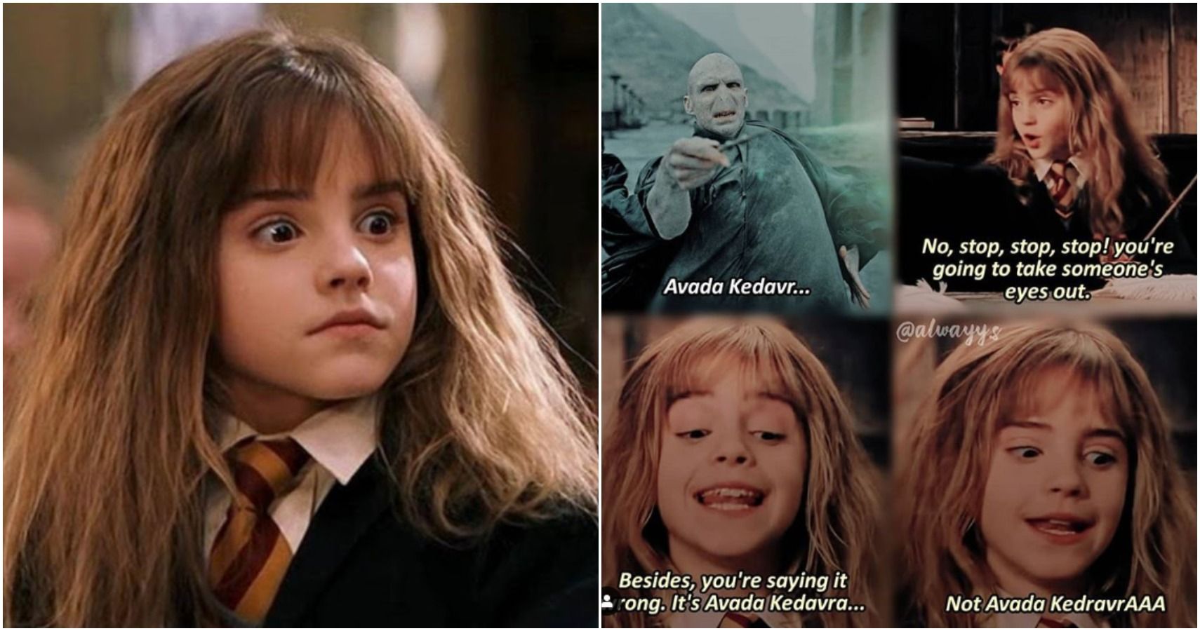 Harry Potter: 10 Memes That Hermione Granger Fans Will Love, image size:1710x900