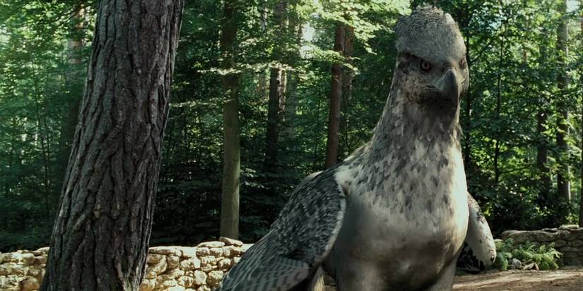 Buckbeak stands in the Forbidden Forest