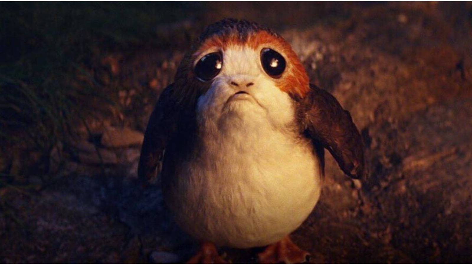 Star Wars: The 10 Best New Aliens From The Sequel Trilogy