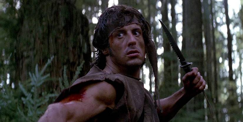 Sylvester Stallone Vs Arnold Schwarzenegger: Each Actor's 5 Best ...