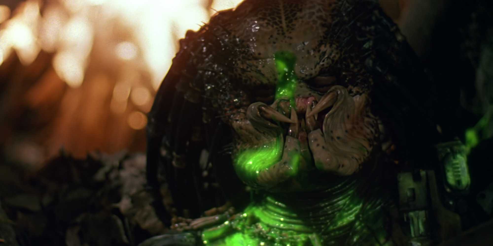 Predator Key Predator Complete Movie Timeline Explained