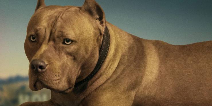 The 10 Most Badass Movie Dogs Screenrant