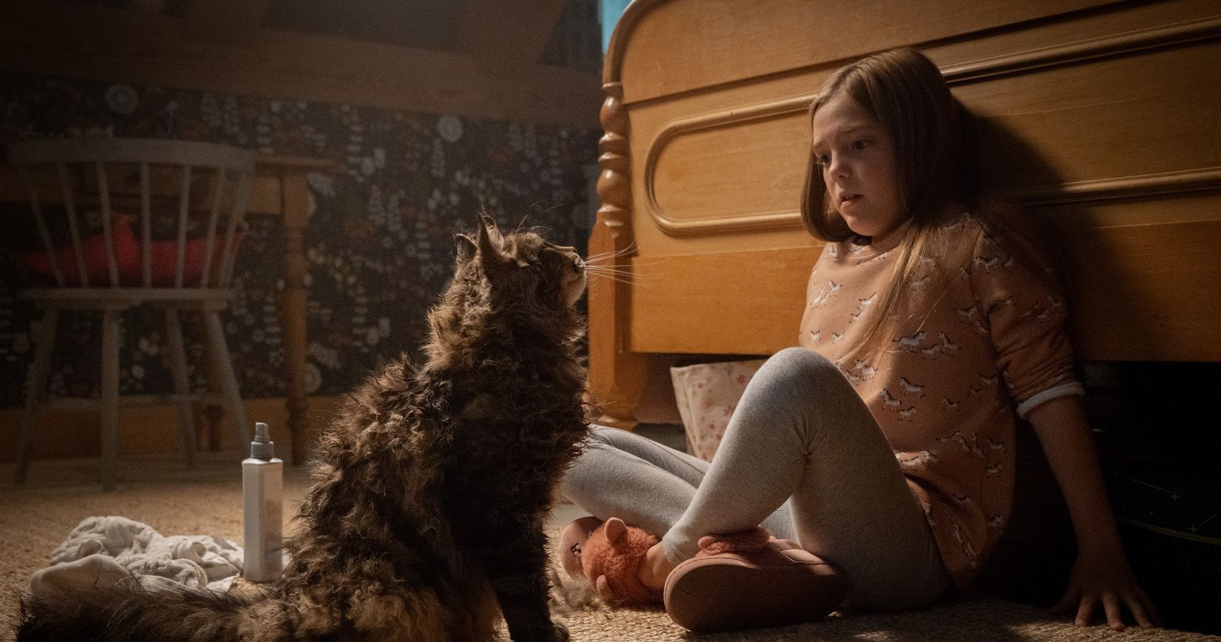 10 Stephen King Movies Referenced In Pet Sematary 2019