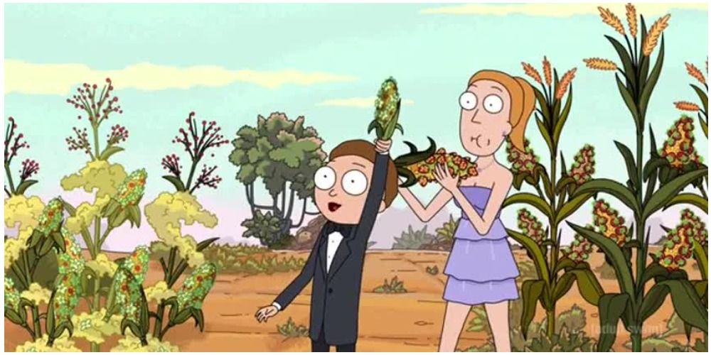 Rick & Morty The 5 Best & 5 Worst Worlds The Duo Visited