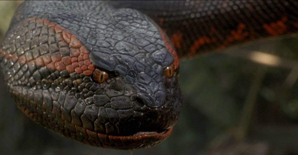 anaconda remake updates release date