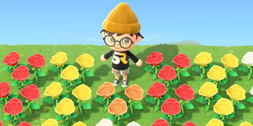 How To Get Blue Roses In in Animal Crossing: New Horizons