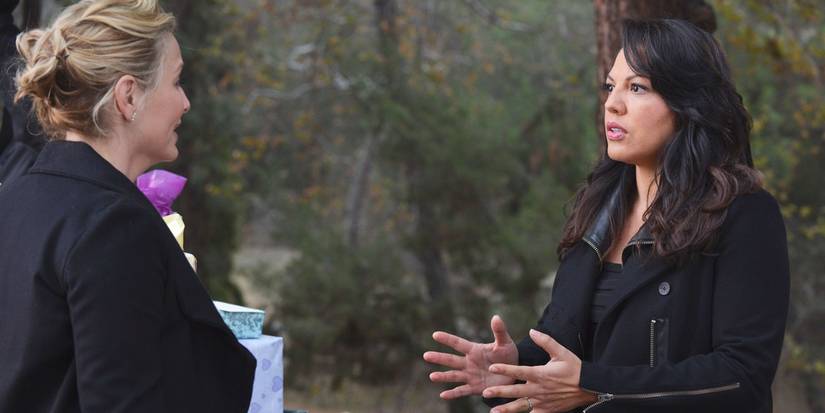 Grey's Anatomy: Best Episodes Of Season 5, Ranked By IMDb