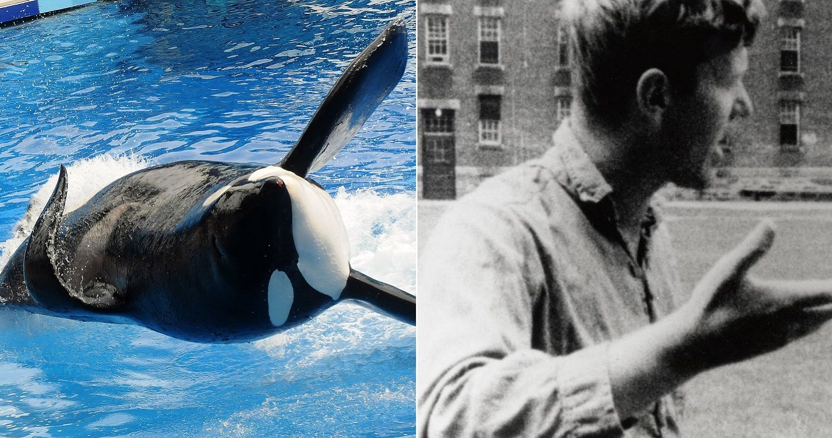 10 Eye Opening Documentaries &amp; The Effects They Had In