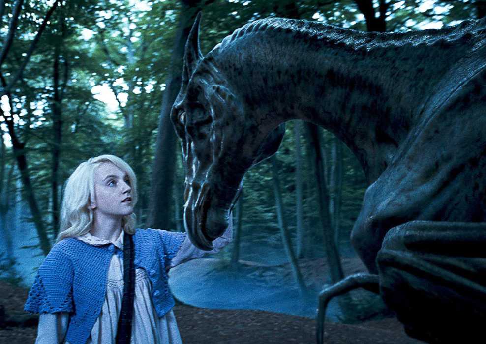 Luna pets a Thestral in Harry Potter and the Order of the Phoenix