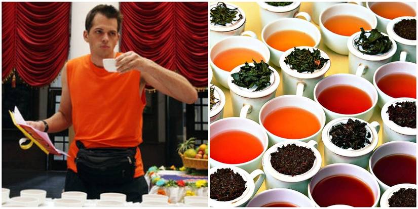 The Amazing Race: The 10 Weirdest Challenges Ever