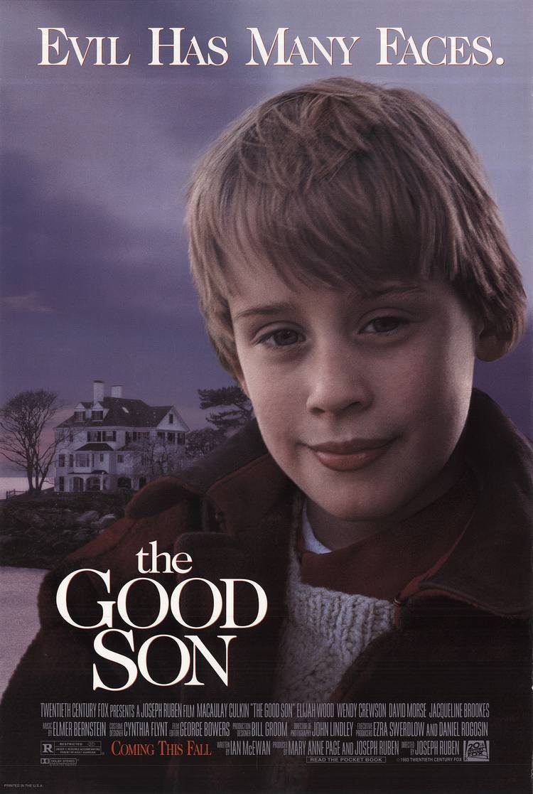Pôster do filme The Good Son