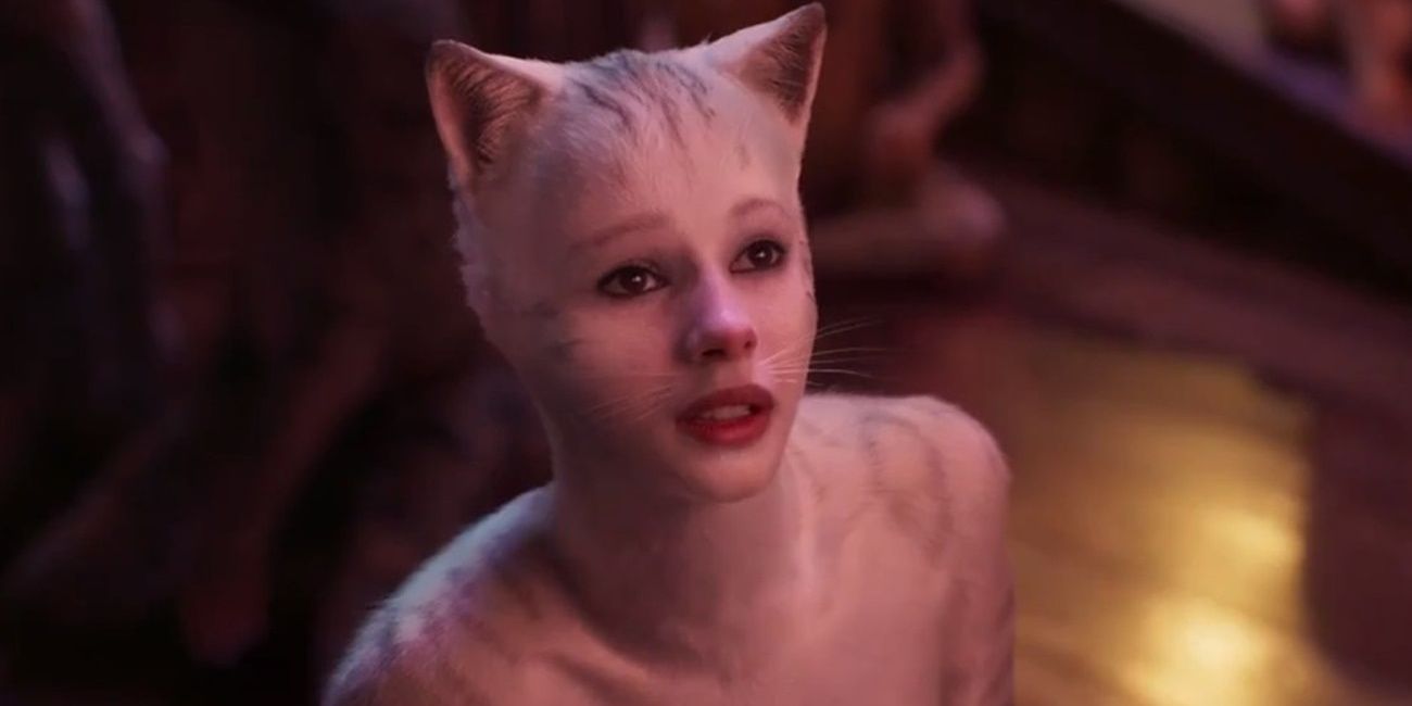 Cats Which Character Are You Based On Your Zodiac