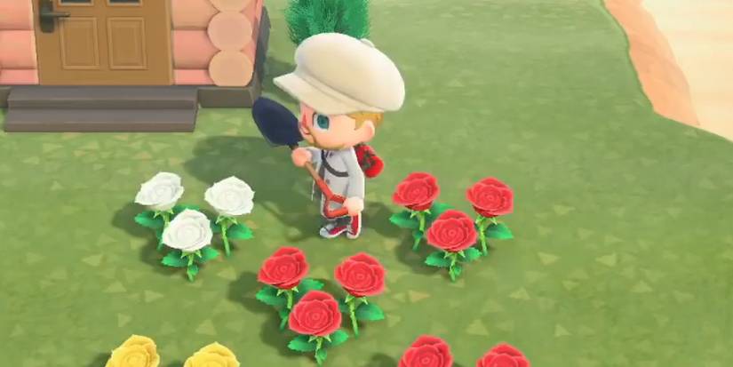 Animal Crossing New Horizons: Where to Find Roses