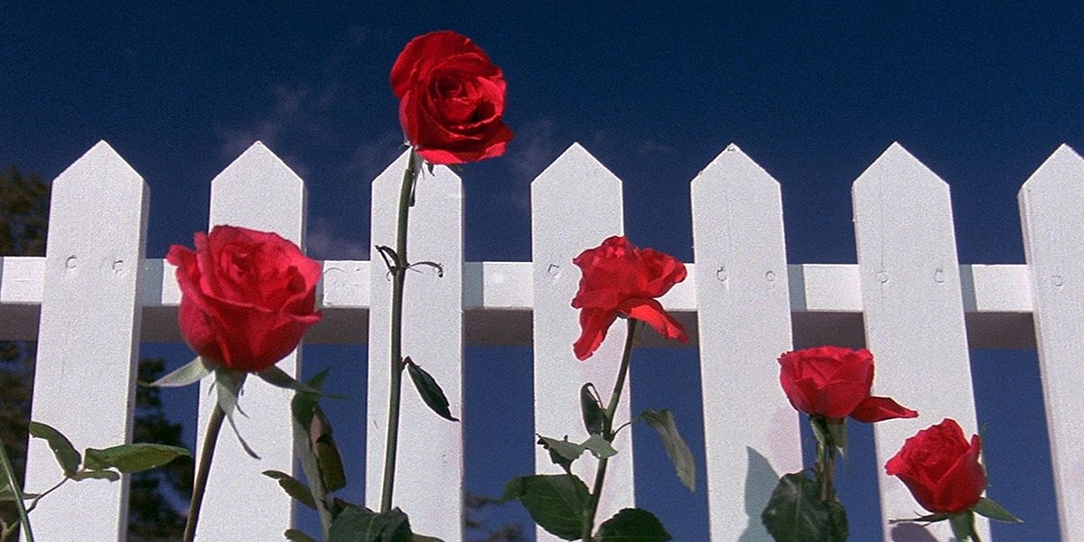 Blue Velvet 10 Ways Its David Lynchs Masterpiece