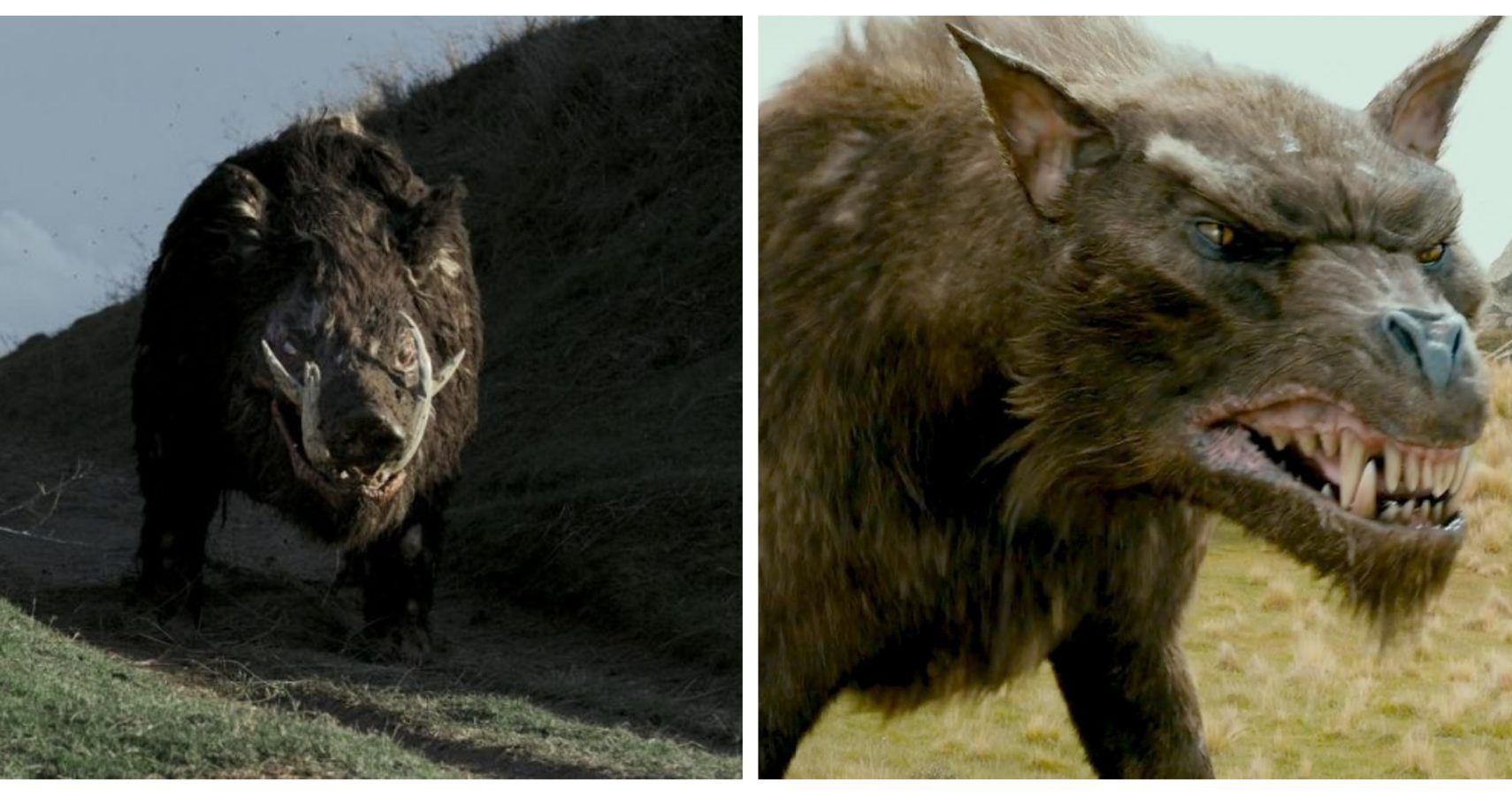 Lord of the Rings: 10 Coolest Creatures You Forgot About, Ranked