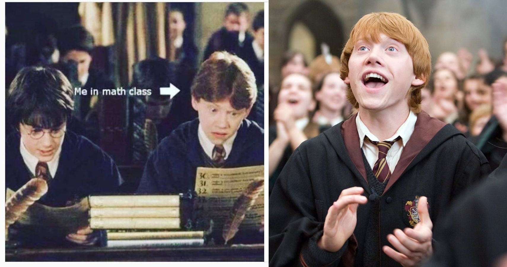 Harry Potter: 10 Memes That Prove Ron Was The Funniest Character