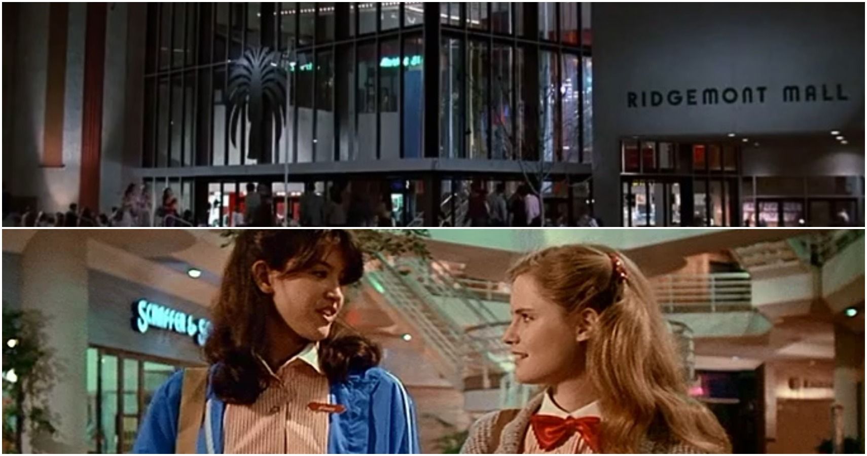 Top 10 Mall Movies (According To IMDb)