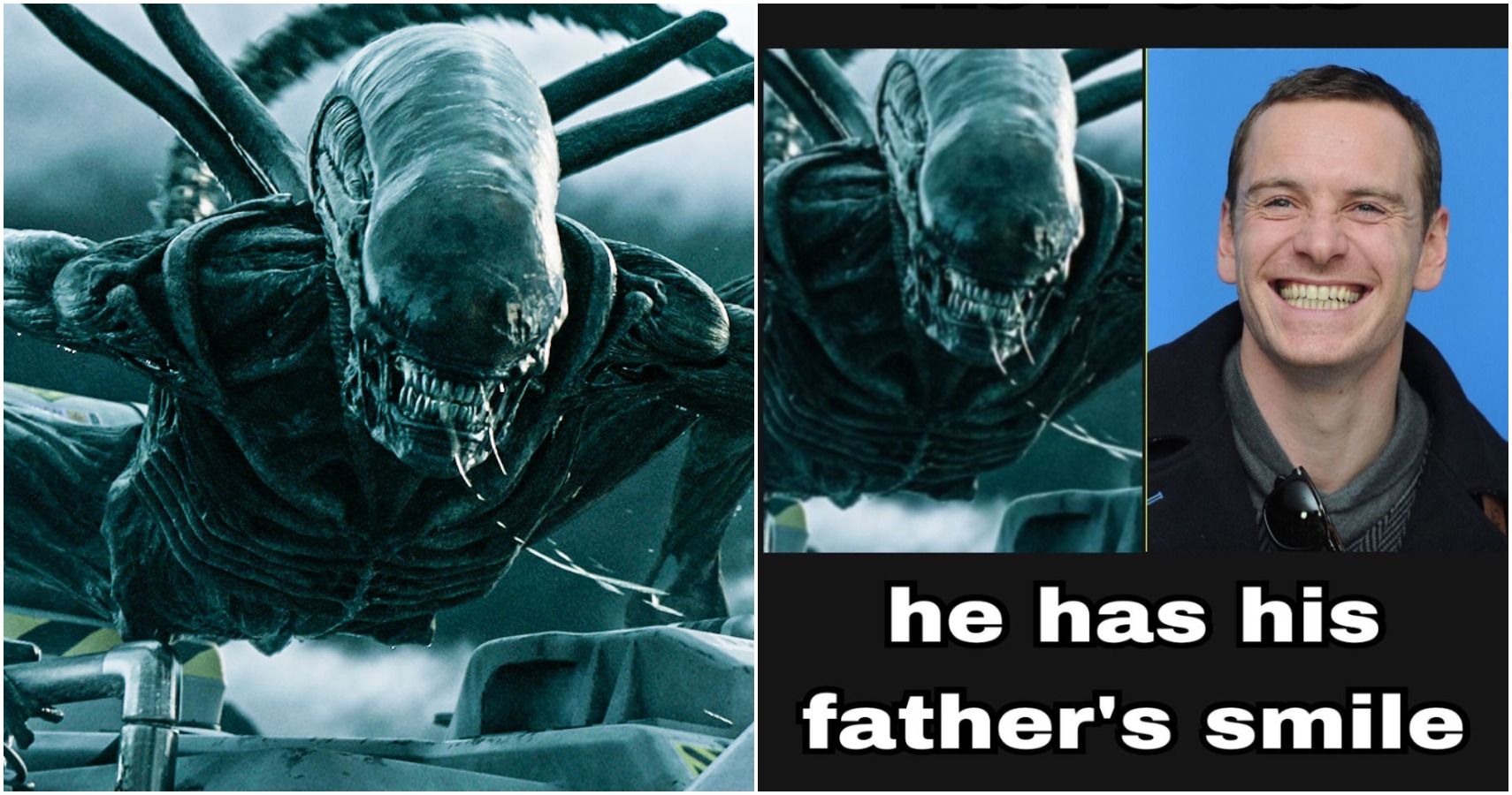10 Alien Franchise Memes Only True Fans Will Understand