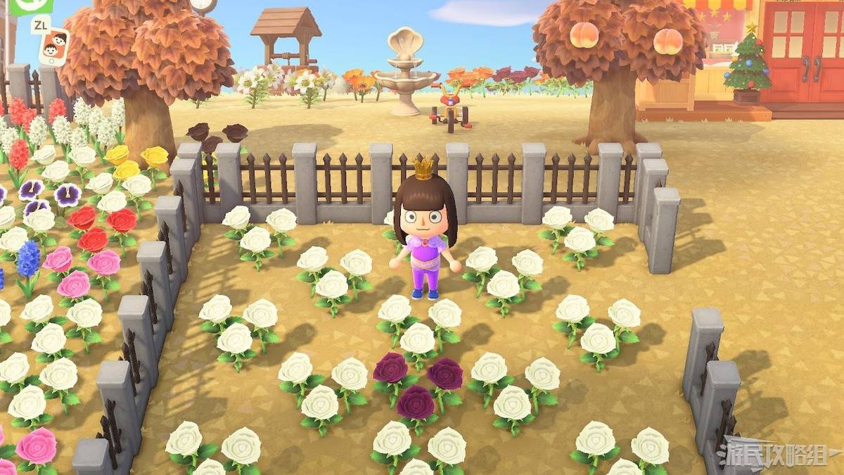 Animal Crossing: New Horizons - How To Breed Purple Hyacinths
