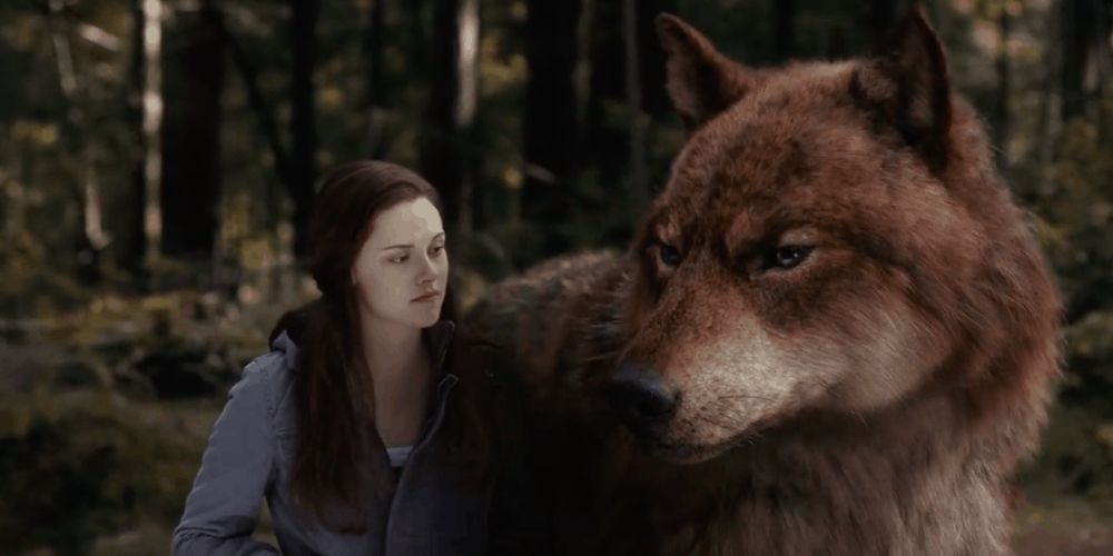 Twilight Saga 5 Times Jacob Was A Bad Friend To Bella (& 5 Times He Wasn’t)