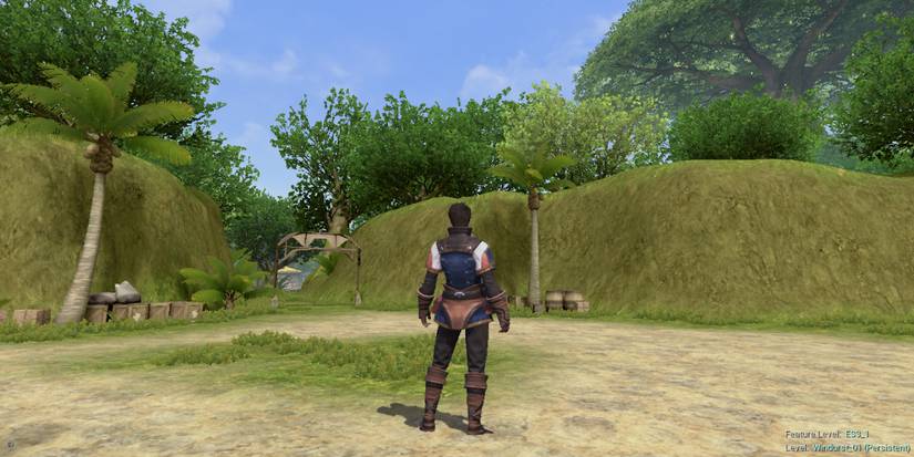 Ein Screenshot der mobilen Welt von Final Fantasy 11